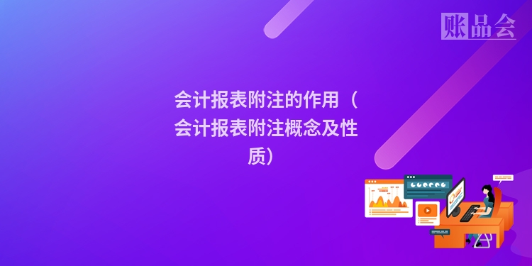 会计报表附注的作用（会计报表附注概念及性质）