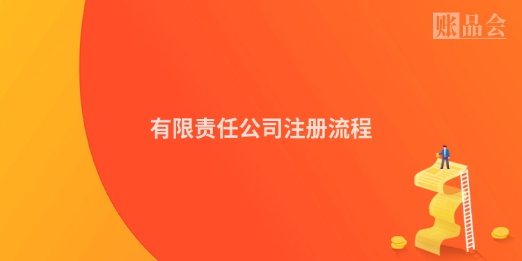 有限责任公司注册流程
