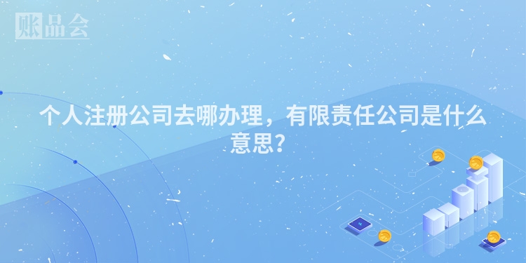 个人注册公司去哪办理，有限责任公司是什么意思？