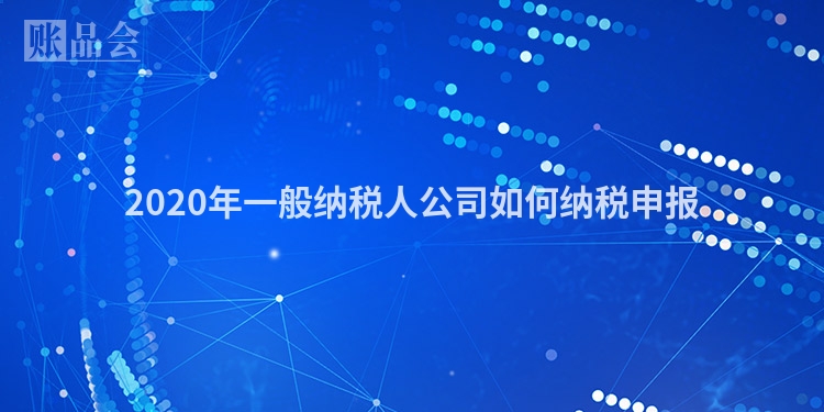 2020年一般纳税人公司如何纳税申报